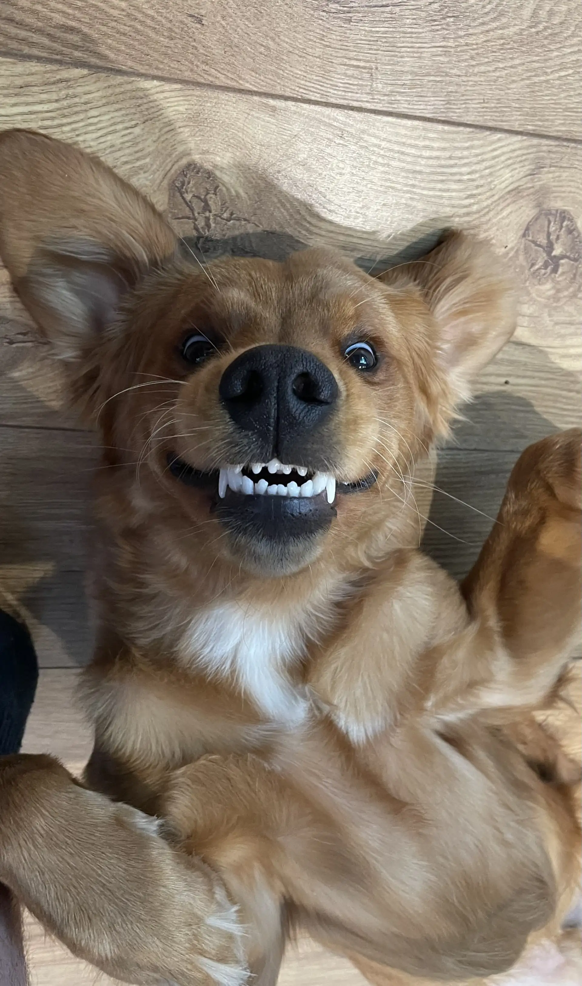 Dave - Employee of the Month