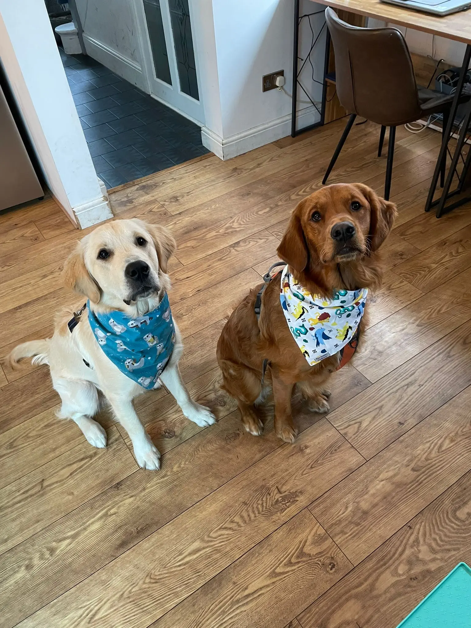 Dave training the new apprentice