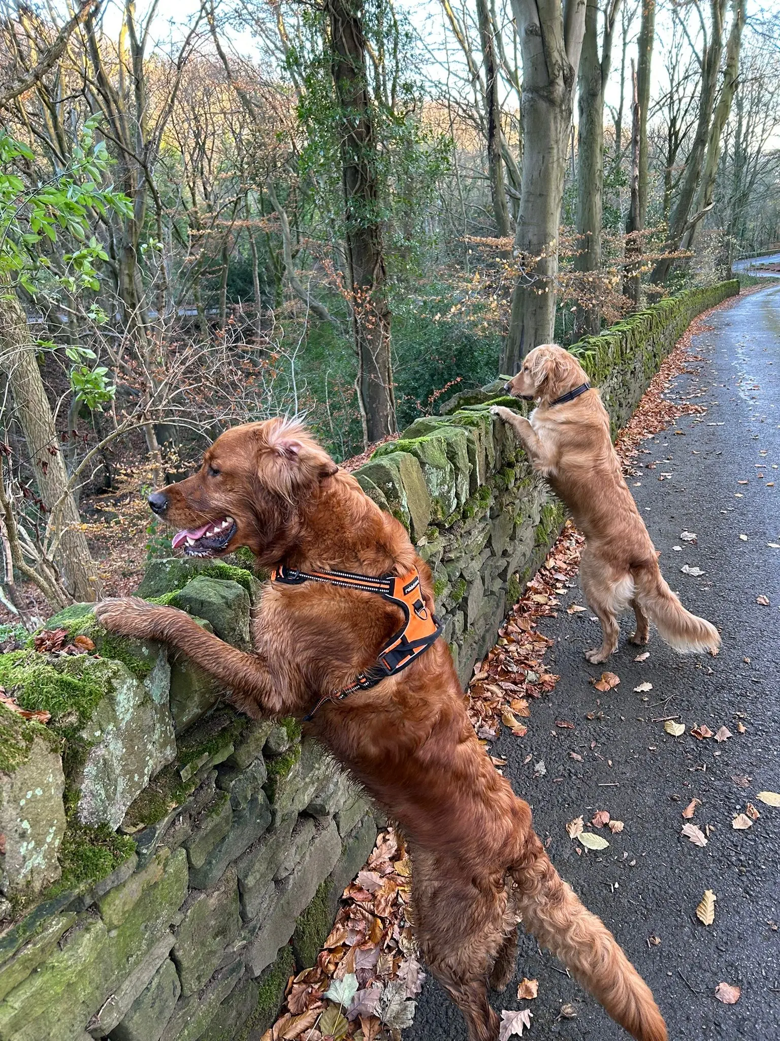 Dave on a company outing