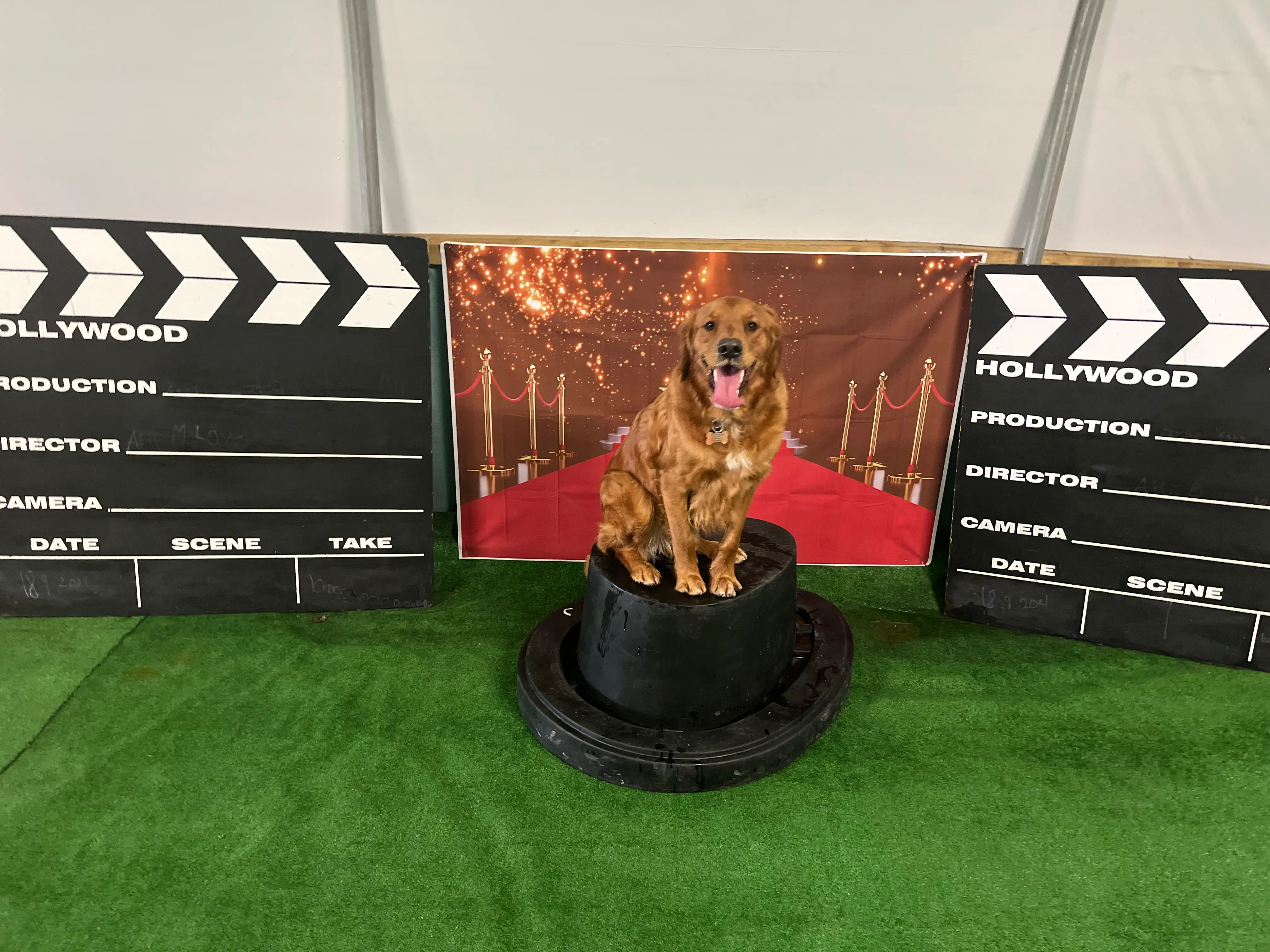 Dave at the awards ceremony