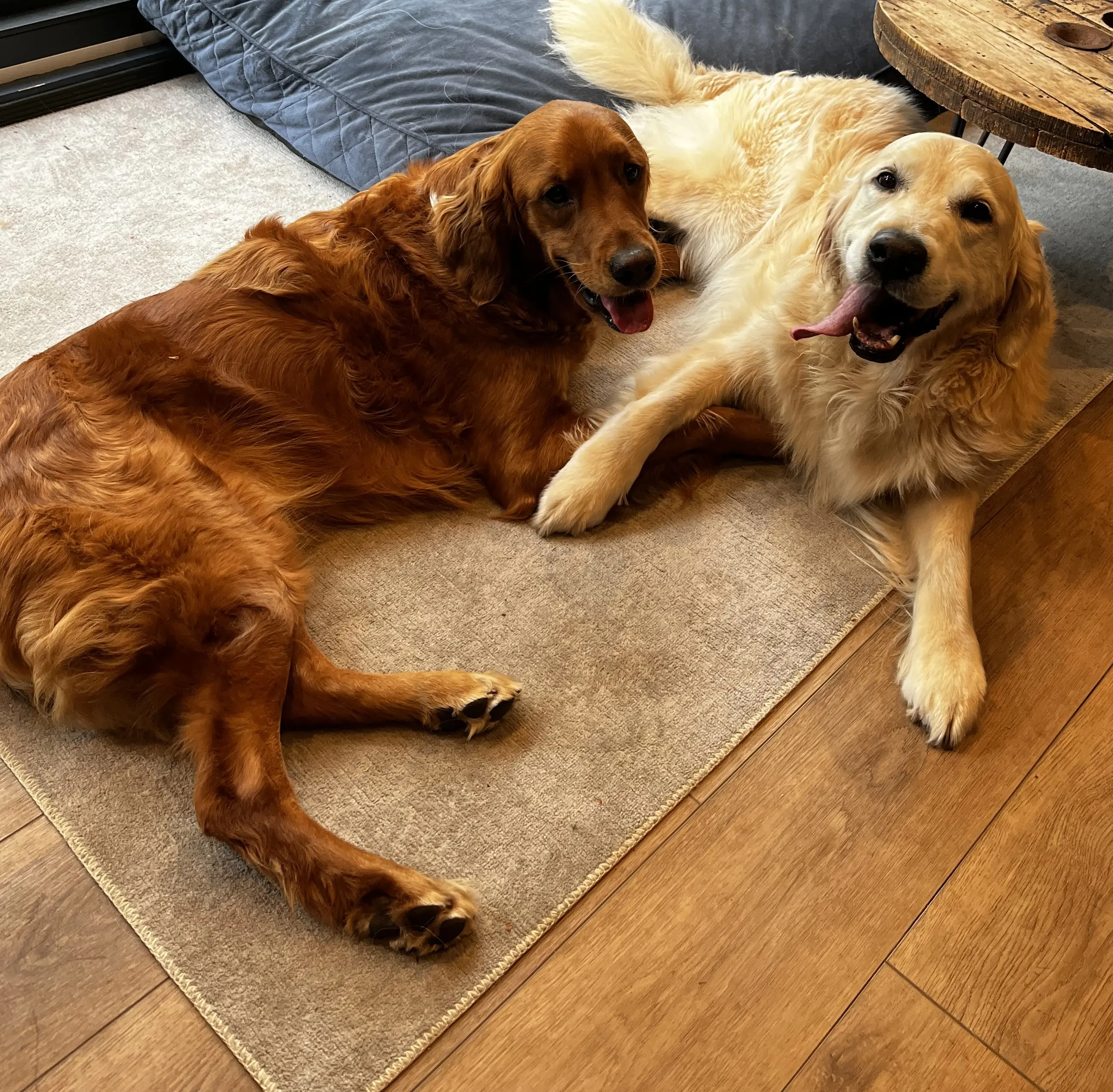 Dave in a client meeting