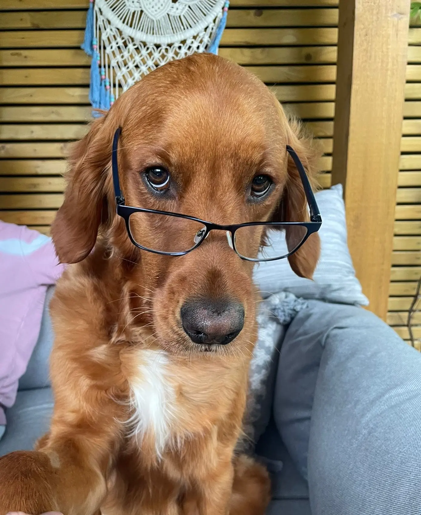 Dave wearing glasses for important meetings