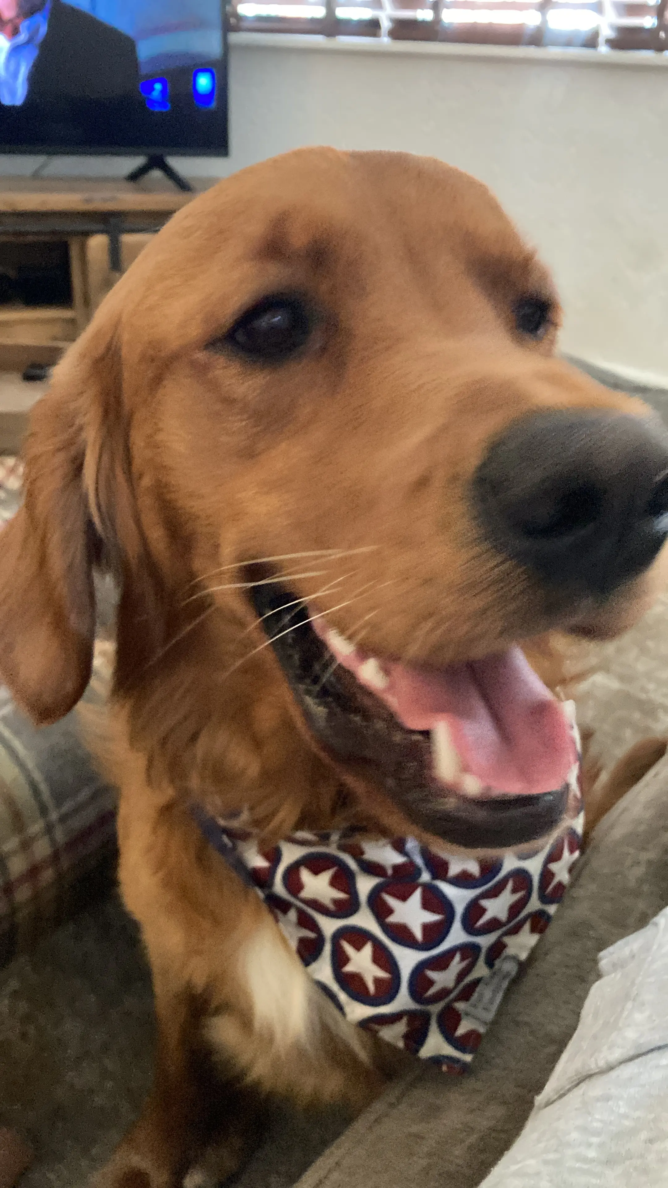 Dave conducting wellness checks